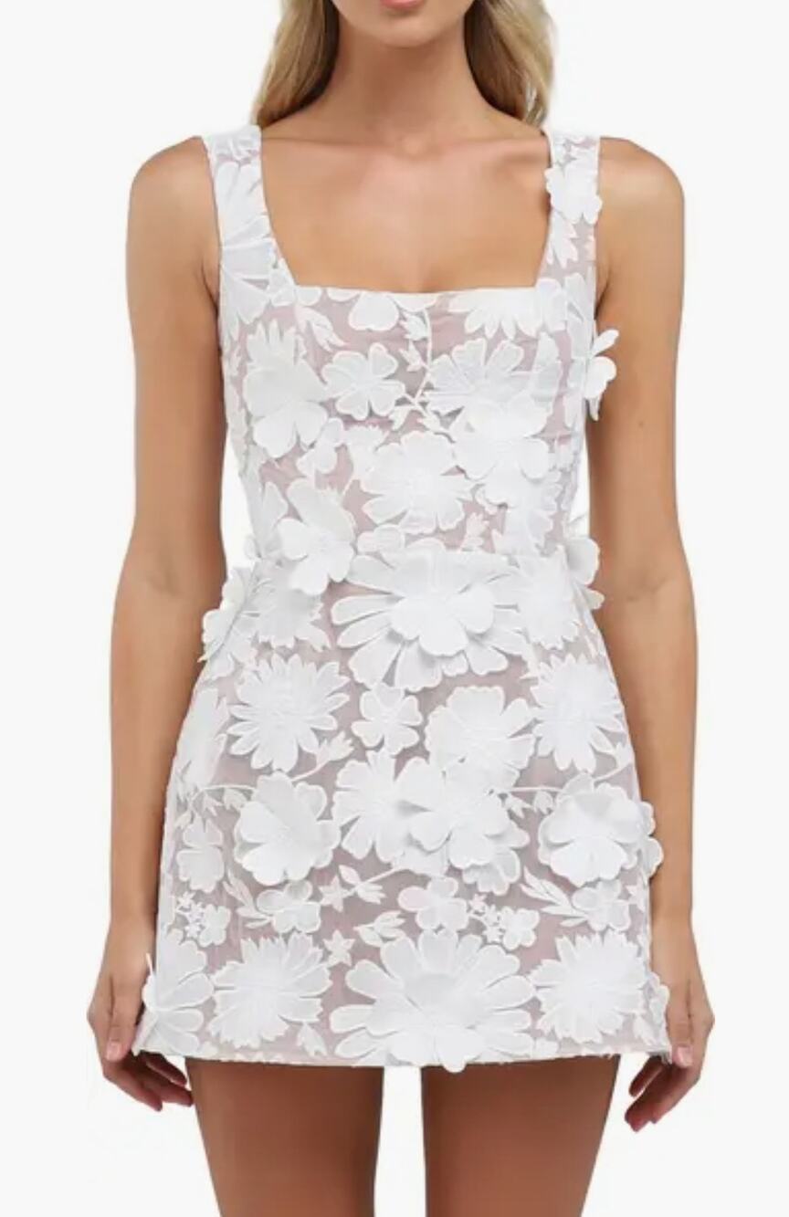 HELSI White & Tan Belen Floral Applique Cocktail Fit & Flare Mini Dress Sz Large